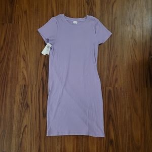 Aritzia Wilfred Free Go-To T-Shirt Dress